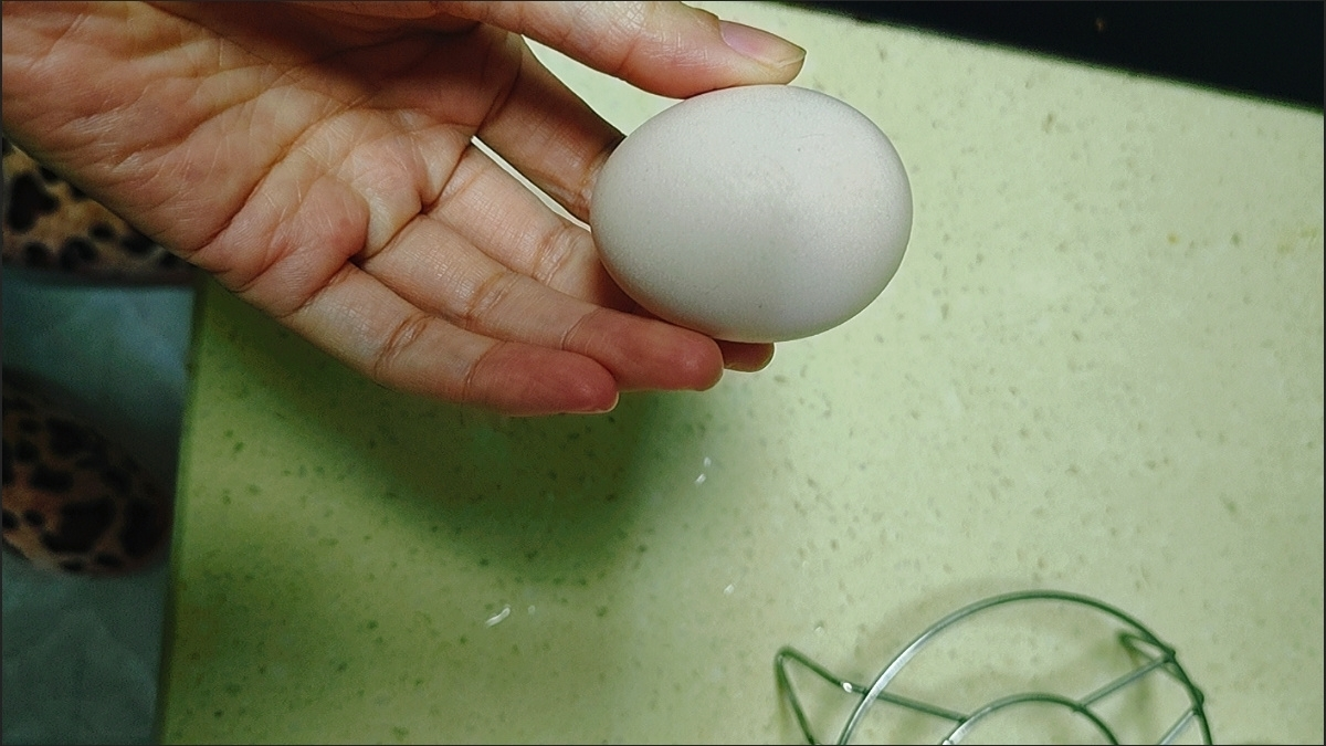 [熊猫鸟]新鲜谷物蛋 20枚装 农家散养新鲜正宗草鸡蛋笨柴鸡蛋孕妇月子蛋整箱晒单图