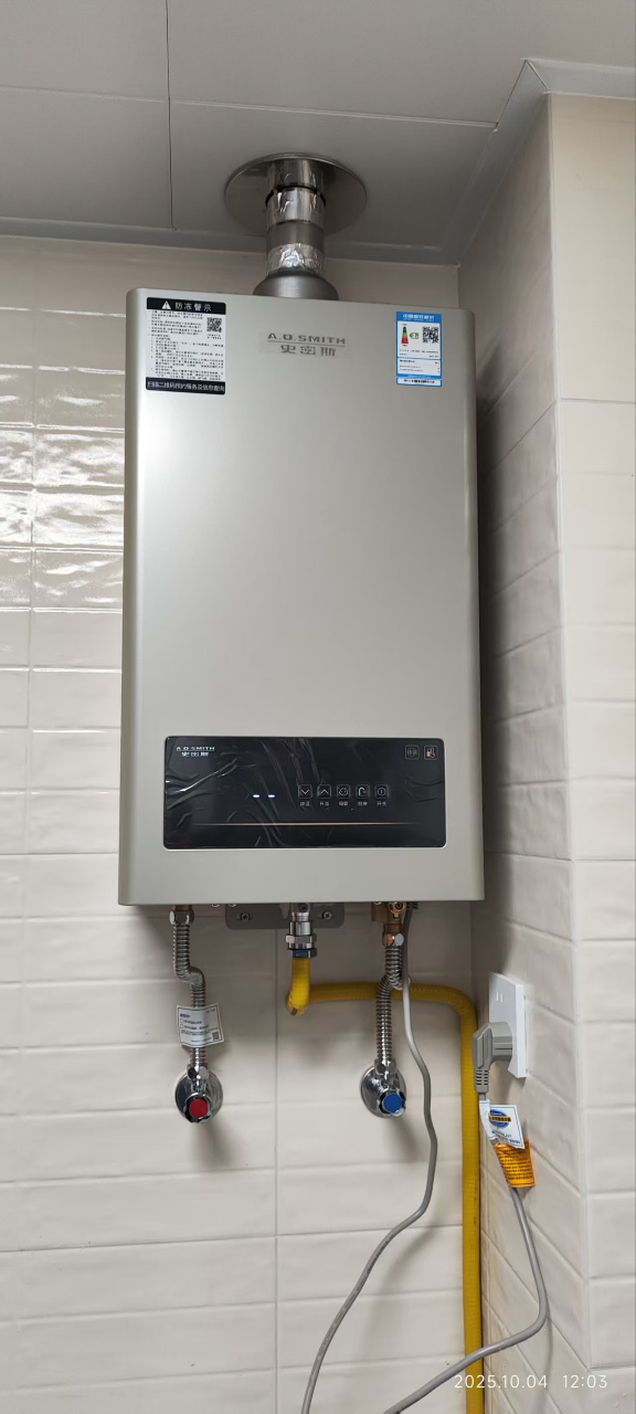 AO史密斯新品小体积16升精钢燃气热水器 JSQ31-EC3 负压燃烧更安全 精控恒温 家用持久恒温大水量晒单图