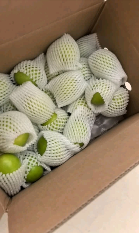 [西沛生鲜]云南大青枣 净重3斤 中果 单果40-70g 大青枣 爆甜多汁晒单图