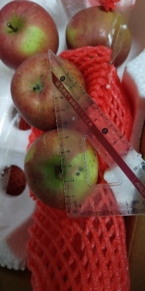 [苏鲜生]四川凉山盐源丑苹果 净重3斤 中果 12个左右 箱装 当季 新鲜水果晒单图