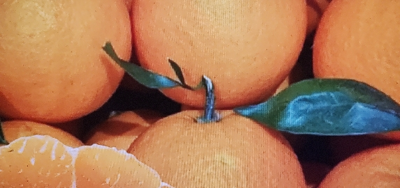 [苏鲜生]当季爱媛38号 果冻橙 可以吸的新鲜水果橙子 中果 净重8斤 单果65mm+晒单图