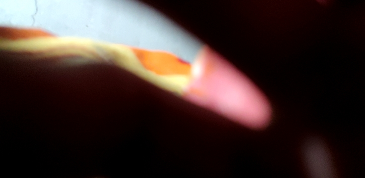 Apple iPhone 17 Pro Max 512G 深蓝色 移动联通电信5G手机晒单图