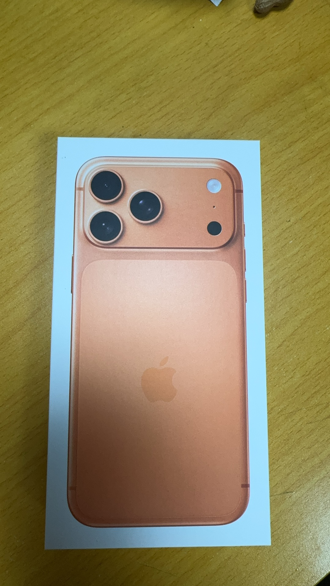 Apple iPhone 17 Pro Max 256G 星宇橙色[需现场签收激活]5G全网通手机 全新正品国行晒单图