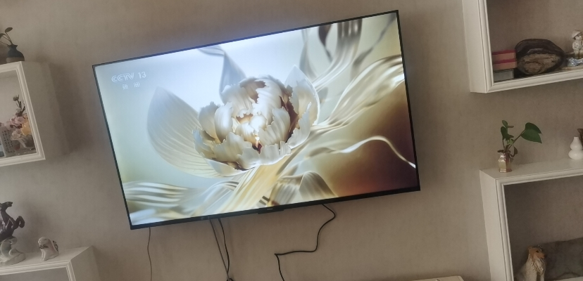 创维酷开 50英寸一级能效 远场语音声控 健康护眼便捷投屏智能电视 50P31晒单图