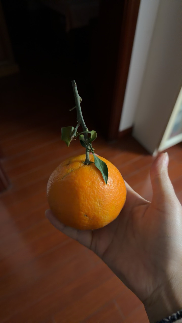 [熊猫鸟]当季爱媛38号果冻橙 可以吸的新鲜水果 中果 净重3斤 单果65mm以上晒单图