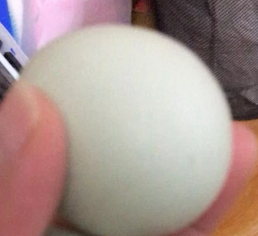 [熊猫鸟]新鲜虫草乌鸡蛋 20枚装 农家散养新鲜正宗草鸡蛋笨柴鸡蛋孕妇月子蛋整箱晒单图