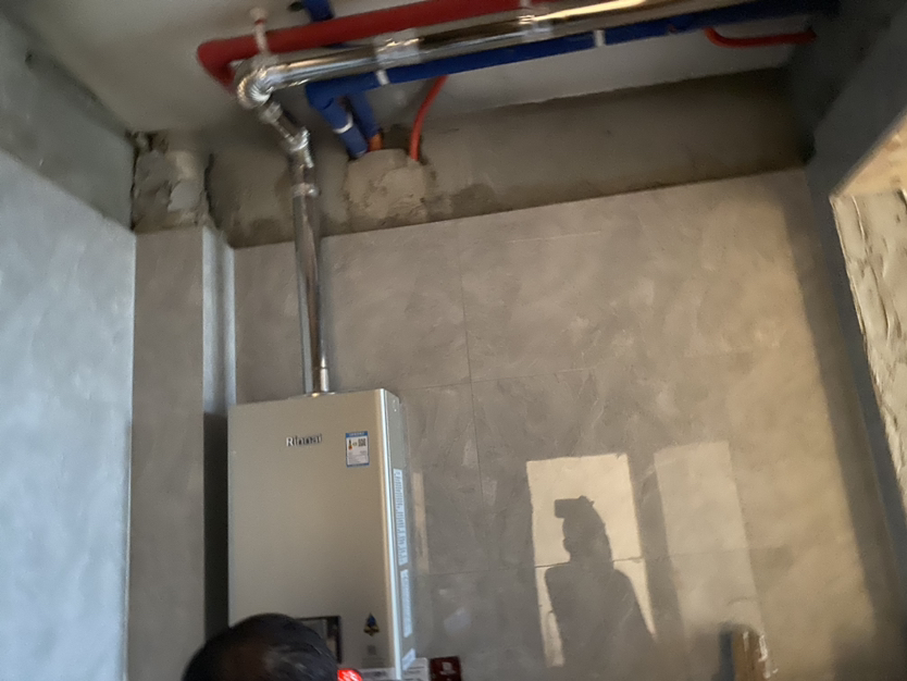 林内(Rinnai)小蛮腰PRO系列 13升燃气热水器 13GD32恒温天然气强排家用gd31防冻防风晒单图