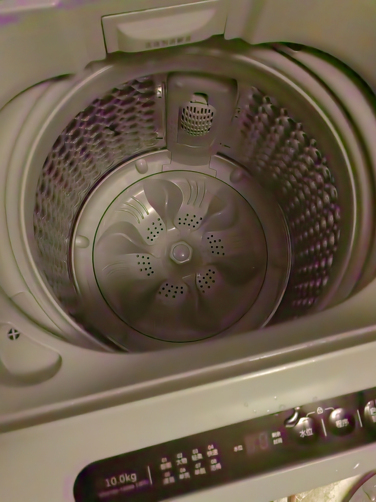 威力10公斤全自动波轮洗衣机 抗菌波轮 家用洗脱大容量 XQB100-10099晒单图