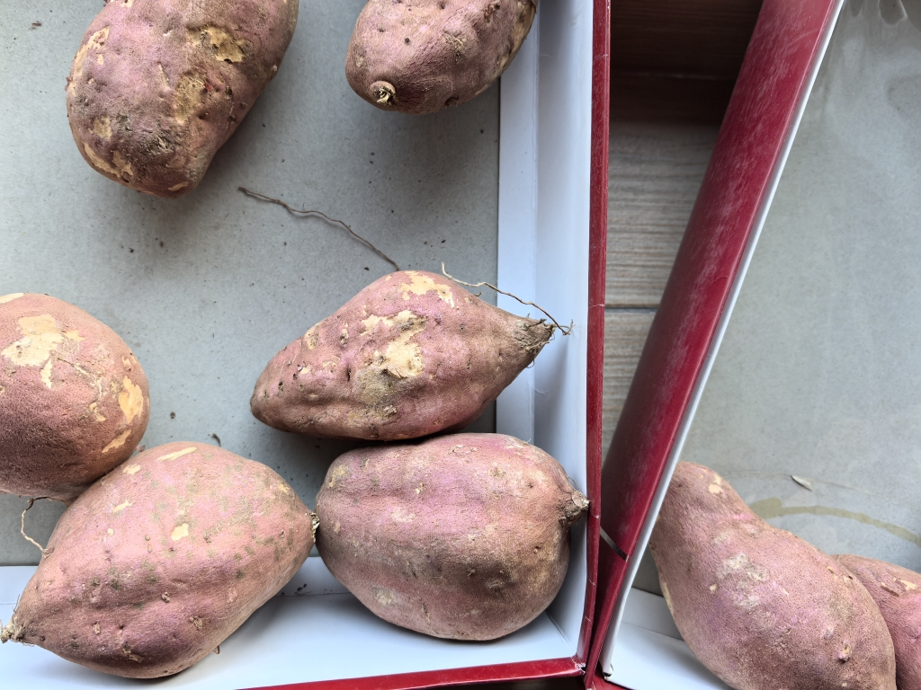 [西沛生鲜]海南桥头富硒地瓜 中果 净重4.5斤 单个100-150g 新鲜沙地红薯山芋板栗番薯蔬菜晒单图