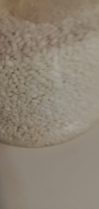 鲁强石磨源 糯米1kg 粽子米 软糯香甜 酥田袋装晒单图