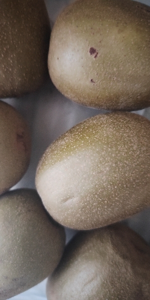 彩箱装[西沛生鲜]四川红心猕猴桃 12枚装(单果70-90g中果) 猕猴桃奇异果 四川红心猕猴桃晒单图