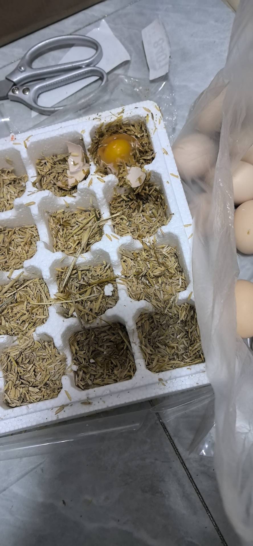 [熊猫鸟]新鲜谷物蛋 20枚装 农家散养新鲜正宗草鸡蛋笨柴鸡蛋孕妇月子蛋整箱晒单图