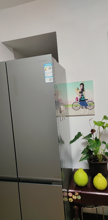 美菱冻鲜生冰箱BCD-505WSPU9BDZ晒单图