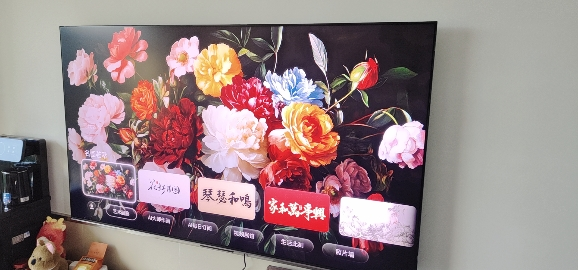 创维电视A6F Pro+ 75英寸智能平板电视机3072分区QD-Mini LED 液晶游戏 75吋国家补贴晒单图