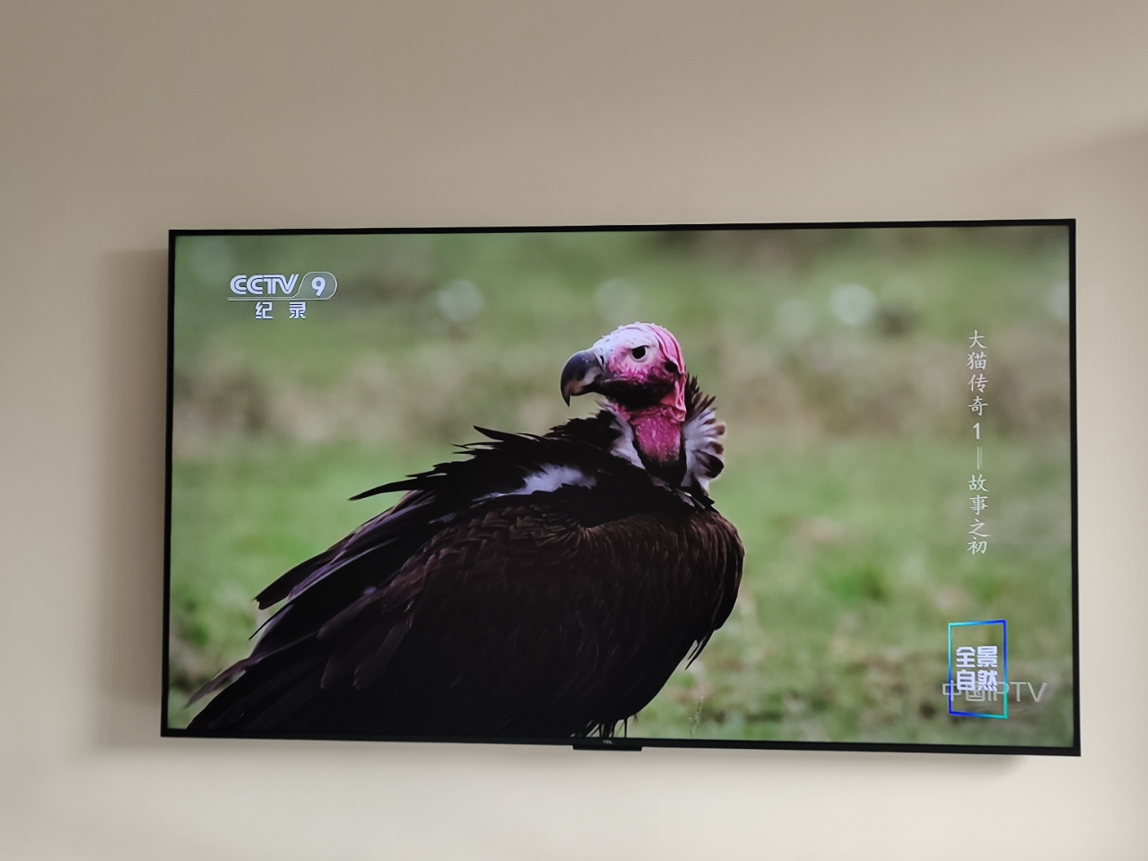 TCL电视 65T6L 65英寸 QD-Mini LED 万象分区 QLED量子点 绚彩XDR 1100nits 超薄晒单图