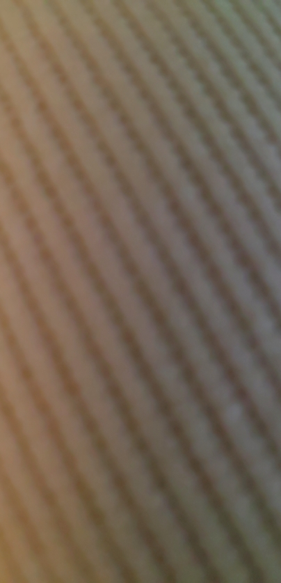 纽曼思(原名纽曼斯)新西兰进口藻油DHA30粒*2瓶(合计60粒)晒单图