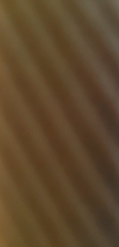 纽曼思(原名纽曼斯)新西兰进口藻油DHA30粒*2瓶(合计60粒)晒单图