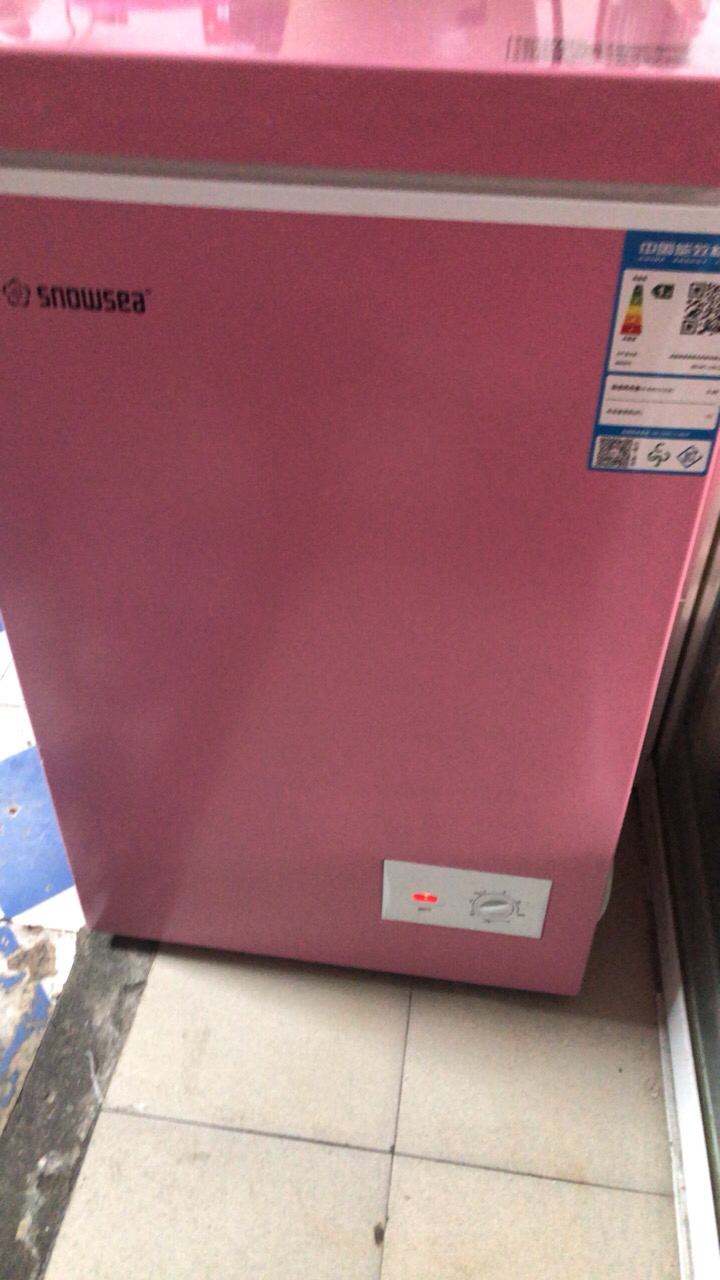 [香雪海]迷你单温柜 玫瑰粉小冰柜 母乳储藏冷柜 家用冷藏冷冻 卧式冰柜冷柜 72升 BD/BC-72S138晒单图