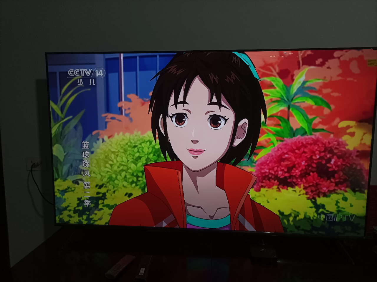 TCL电视 65V8L Pro 65英寸 144Hz QLED量子点 3GB+64GB大内存电视晒单图