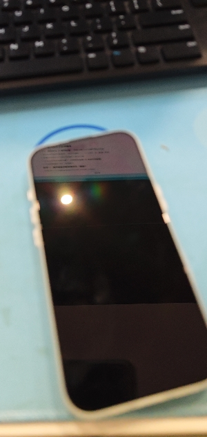 [手机]Apple iPhone 17 256G 鼠尾草绿色 移动联通电信5G手机晒单图