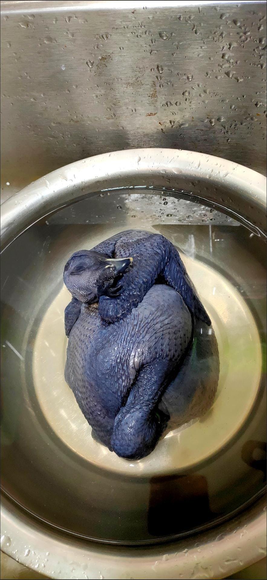 雀淘 白羽乌鸡800g/只 1只装新鲜现杀冷冻肉质鲜美农家慢养整只顺丰发货晒单图