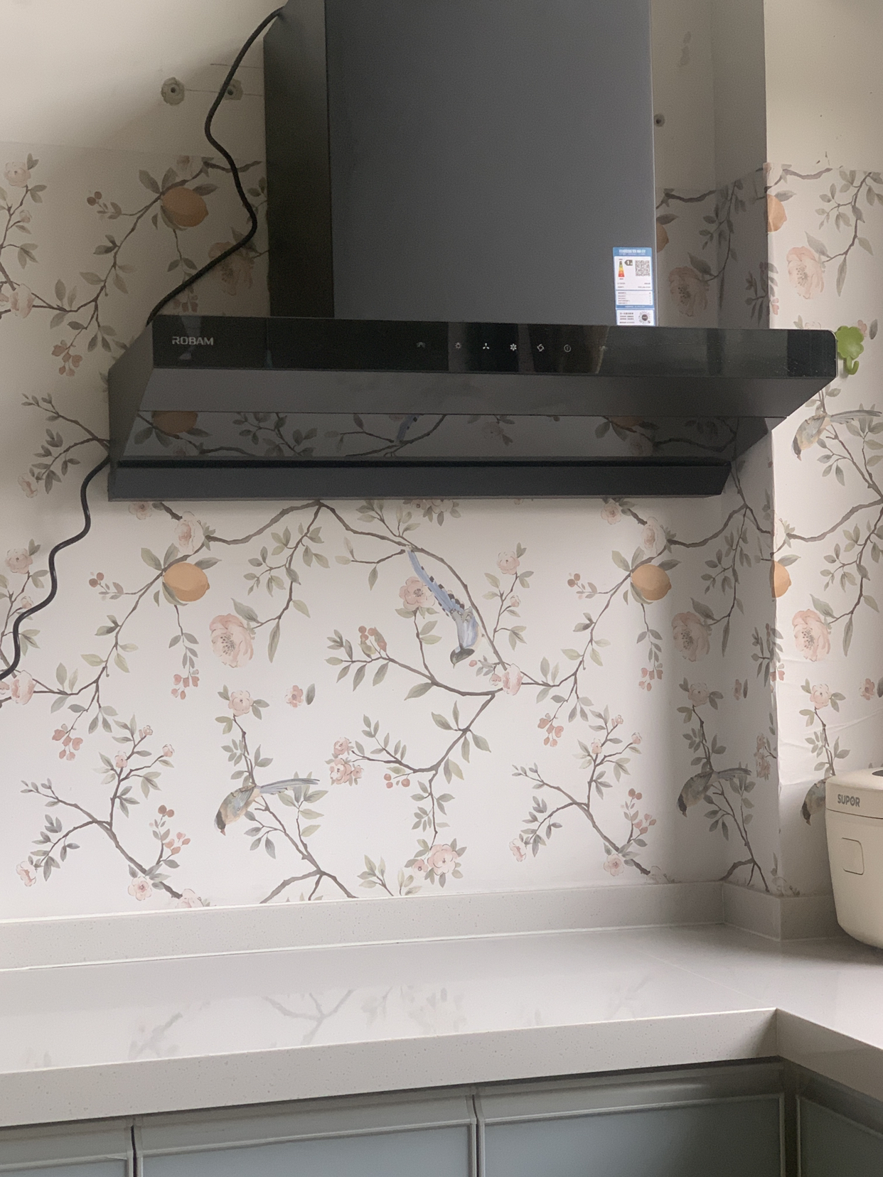 老板(Robam)[小尺寸]油烟机26立方风量1100Pa抽油烟机顶侧一体超薄平嵌大吸力61A9S L1mini晒单图