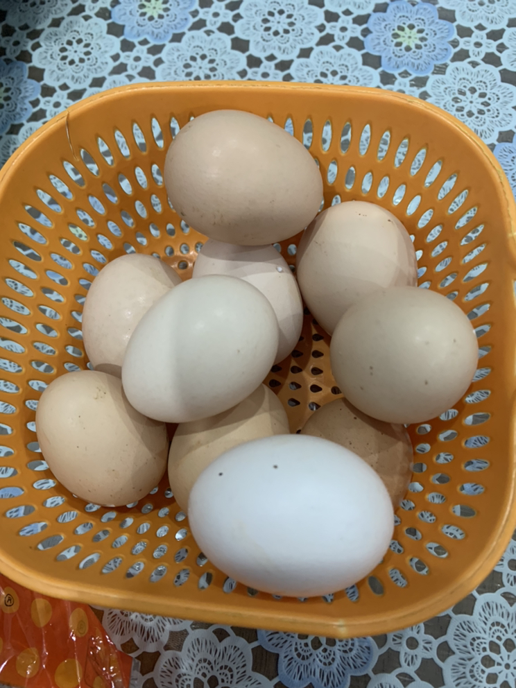 [西沛生鲜]新鲜谷物蛋 10枚装 农家散养新鲜正宗草鸡蛋笨柴鸡蛋孕妇月子蛋整箱晒单图