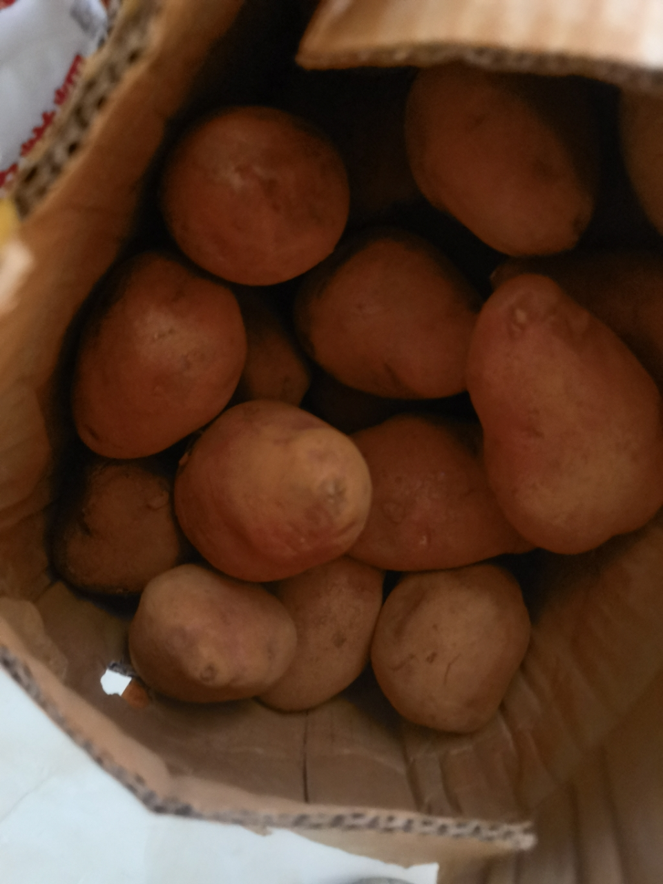 [1瓶] 新盖中盖牌碳酸钙维生素D3咀嚼片110片 香橙味 一天一片 110天量 17岁以上成人补钙晒单图