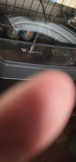 小天鹅(LittleSwan)波轮洗衣机全自动 12公斤大容量 免清洗不脏桶 [TB12-1809T]一级能效晒单图