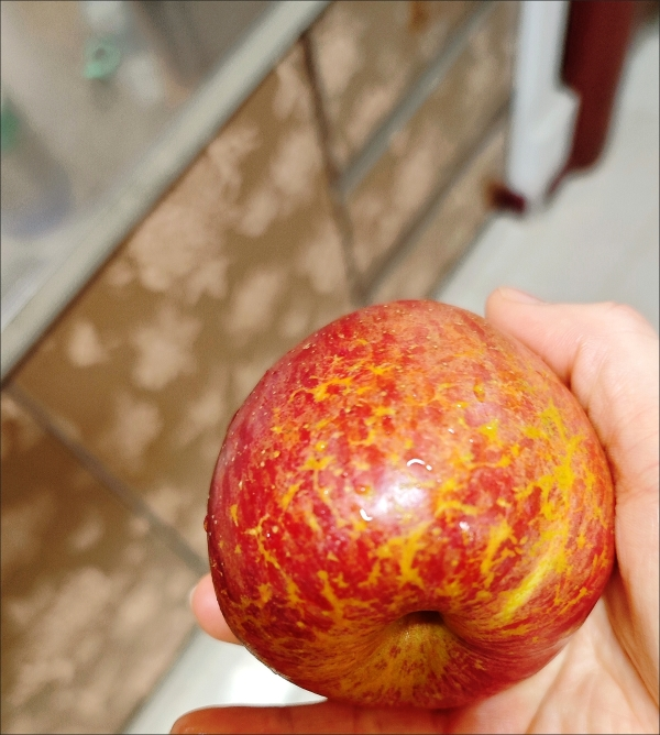 [熊猫鸟]四川凉山盐源丑苹果 净重5斤 中果 单果70-75mm 箱装 当季 新鲜水果晒单图