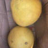 [苏鲜生]新鲜福建白心柚 送开果器 净重4.5斤 2个 中果 新鲜柚子水果 蜜柚晒单图
