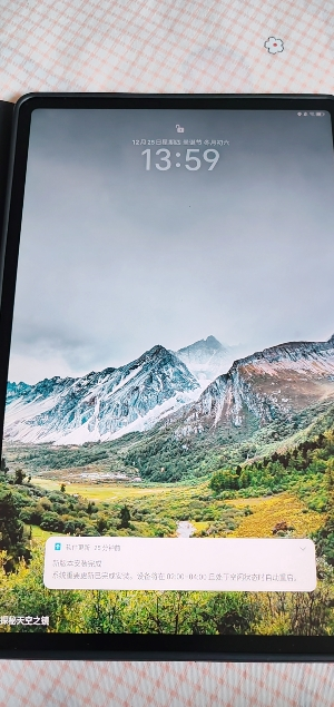 HONOR/荣耀平板9 12.1英寸柔光护眼全面屏pad商务办公影音娱乐教育学习平板电脑 8+256GB[WIFI版]天青色晒单图