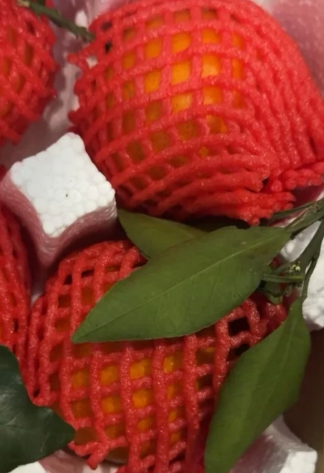 [熊猫鸟]当季爱媛38号果冻橙 可以吸的新鲜水果 大果 净重5斤 单果70mm以上晒单图