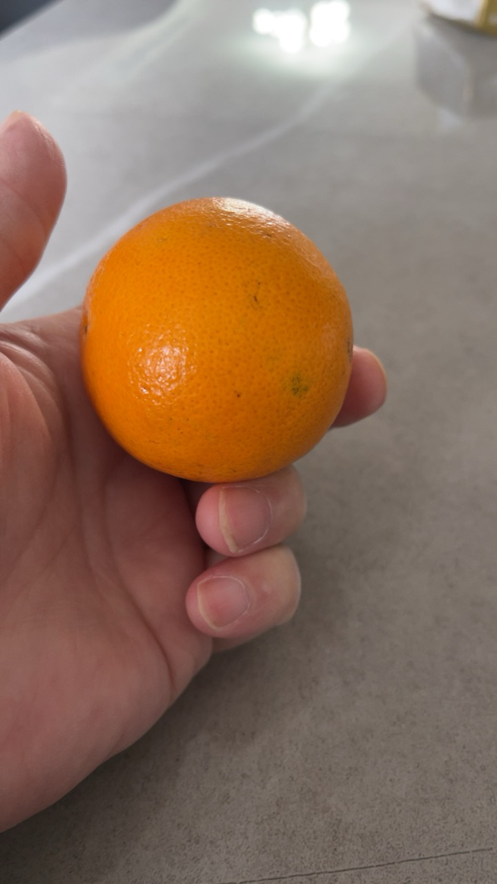 [熊猫鸟]正宗云南冰糖橙 净重5斤 中果 单果65mm左右 哀牢山新鲜应季水果晒单图