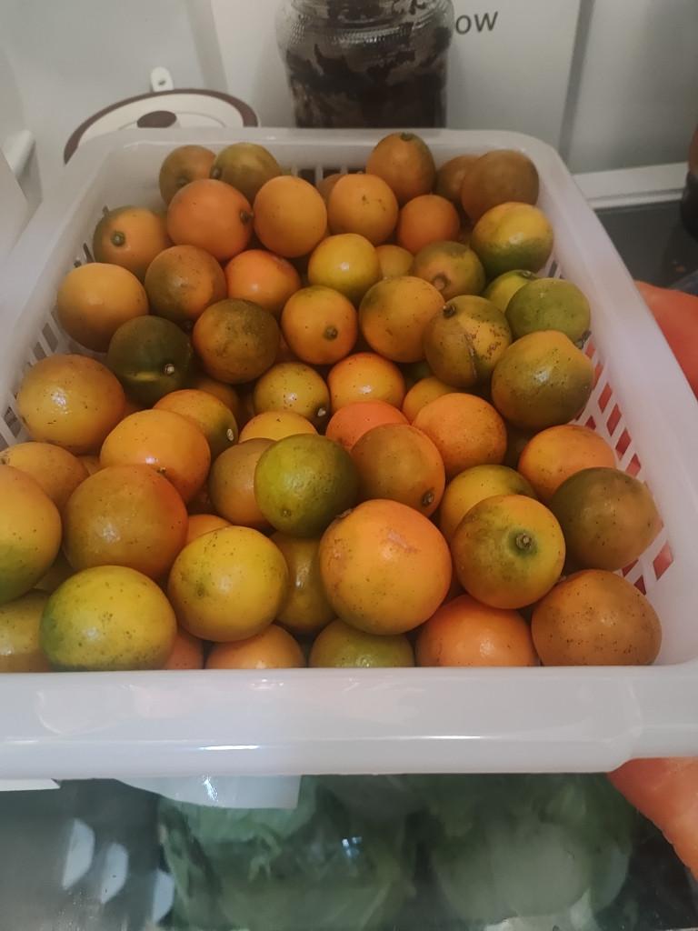 [苏鲜生]广西小金桔 5斤 中果 约45个/斤 新鲜水果脆甜滑皮冰糖金桔应当季水果晒单图