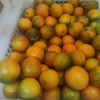 [苏鲜生]广西小金桔 5斤 中果 约45个/斤 新鲜水果脆甜滑皮冰糖金桔应当季水果晒单图