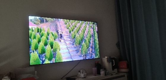 TCL 65N8L 65英寸 一级能效 3GB DDR+64GB eMMC 量子点电视机晒单图