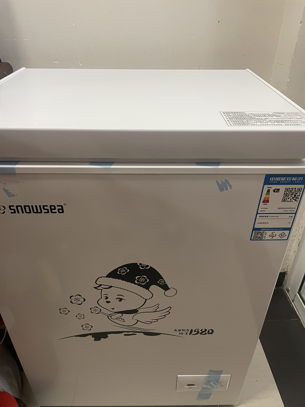 香雪海 110升 冰柜小型家用 一级能效 冰柜 冷柜家用顶开门 卧式冷柜冷冻冷藏转换 单温柜 BD/BC-110S169晒单图