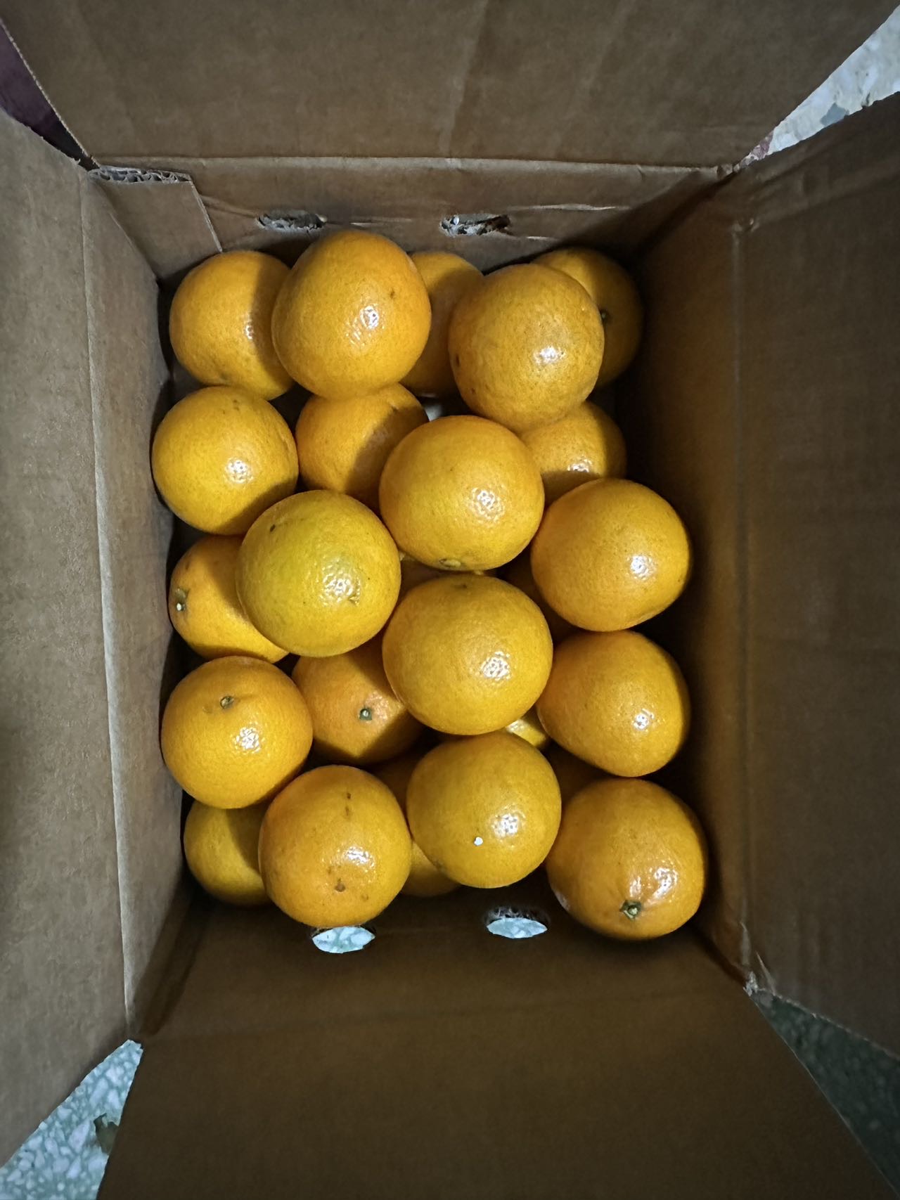 [西沛生鲜]广西皇帝柑 净重4.5斤 中果 单果55-60mm 新鲜时令水果当季整箱晒单图