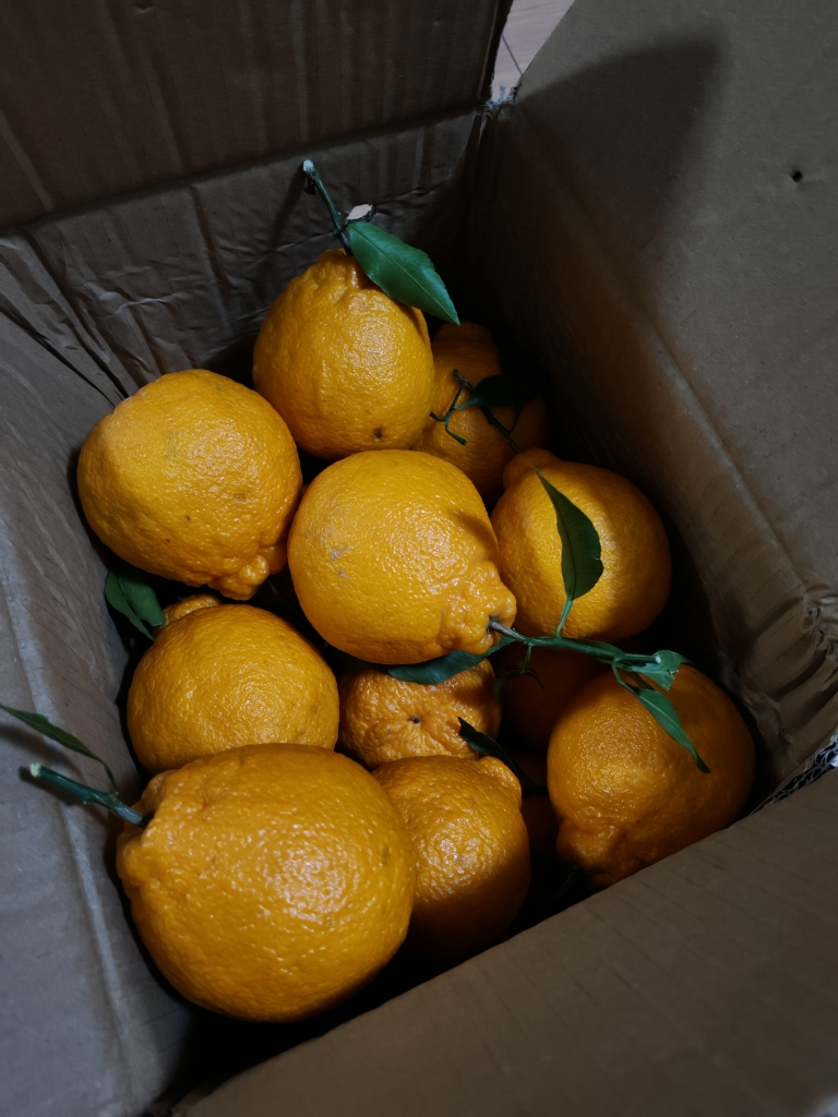 [苏鲜生]四川新鲜耙耙柑 净重9斤 大果 单果75mm+ 产地精选 甜美多汁晒单图