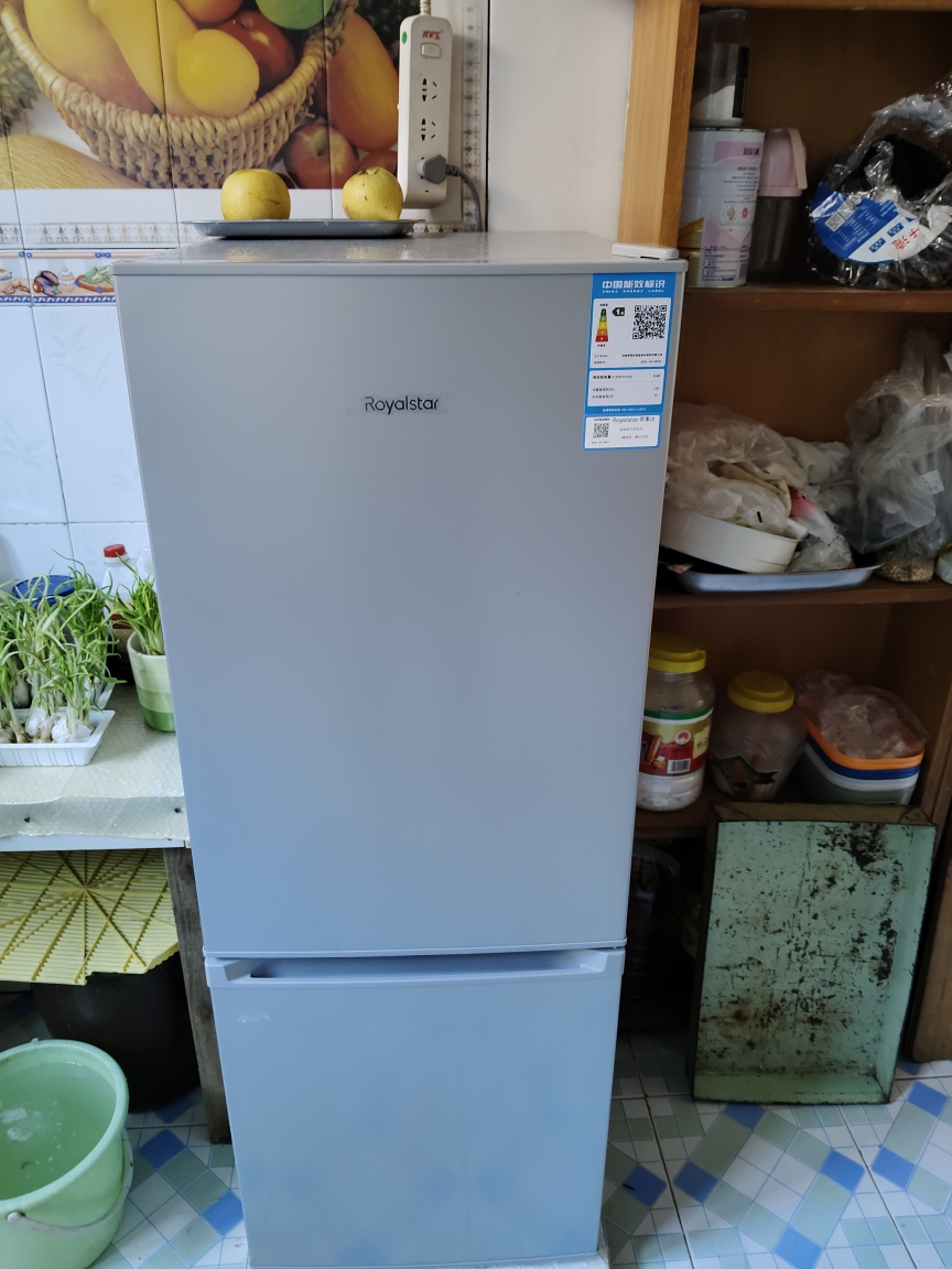 荣事达187升迷你冰箱小型家用租房冰箱宿舍小冰箱大容量节能低音BCD-187L9RSZ太空银晒单图