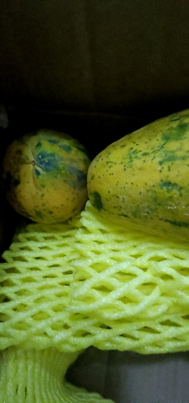 [西沛生鲜]广西红心木瓜 净重5斤装 国产新鲜水果 非海南红心木瓜 生鲜新鲜 当季水果晒单图