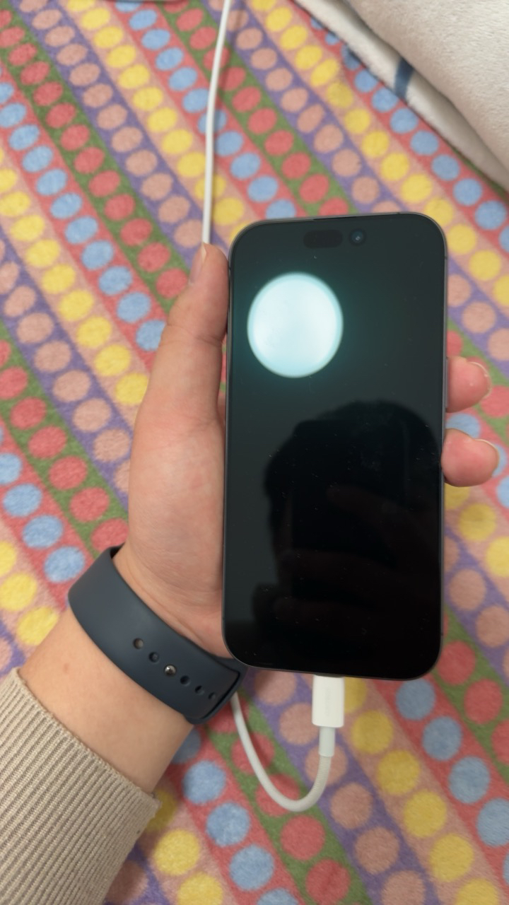 Apple iPhone 17(A3521) 256G 黑色 MG6W4CH/A 移动联通电信5G手机晒单图