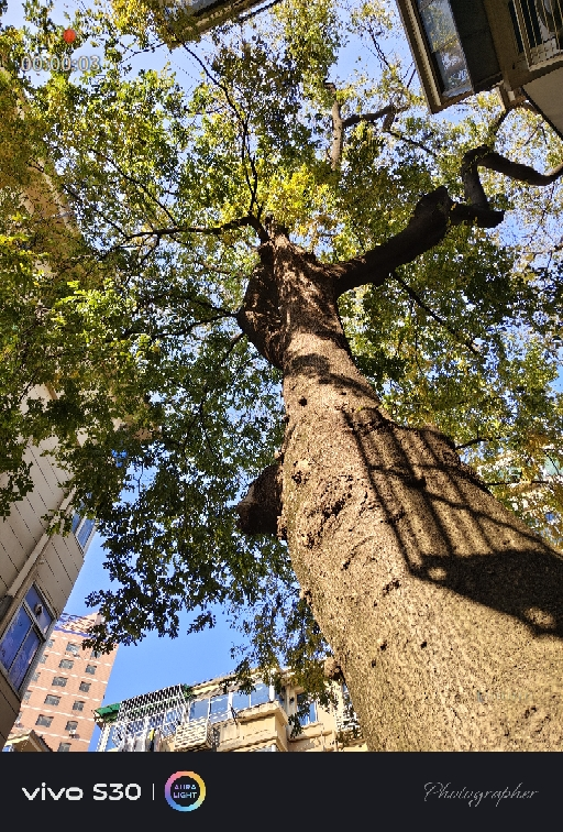 [手机]vivo S30 可可黑 12GB+512GB 全网通5G手机晒单图