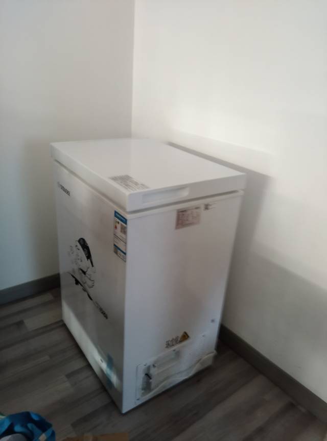 香雪海 110升 冰柜小型家用 一级能效 冰柜 冷柜家用顶开门 卧式冷柜冷冻冷藏转换 单温柜 BD/BC-110S169晒单图