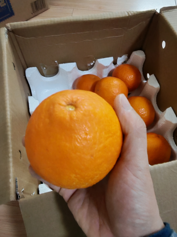 [苏鲜生]当季爱媛38号 果冻橙 可以吸的新鲜水果橙子 特大果 净重9斤 单果75mm+晒单图