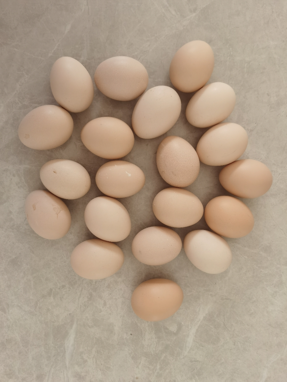 [熊猫鸟]新鲜谷物蛋 20枚装 农家散养新鲜正宗草鸡蛋笨柴鸡蛋孕妇月子蛋整箱晒单图