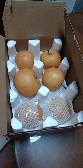 [熊猫鸟]新鲜山东莱阳秋月梨 净重4.5斤中果(共7-9枚装) 新鲜当季水果 现摘现发 香甜可口晒单图