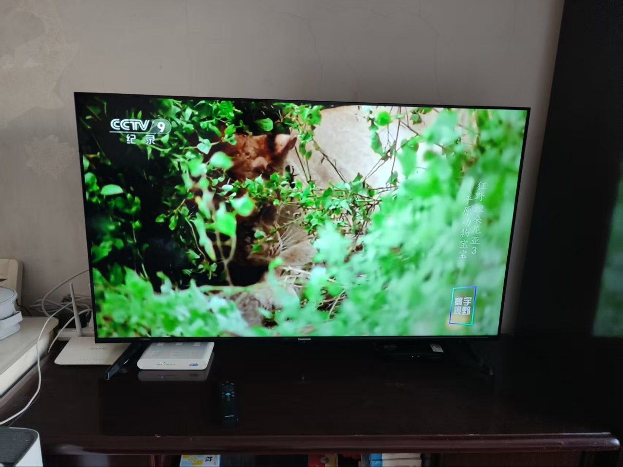 长虹电视50D4P-G1 50英寸电视 全面屏 人工智能 4K超高清 HDR轻薄平板LED液晶平板电视政府补贴晒单图