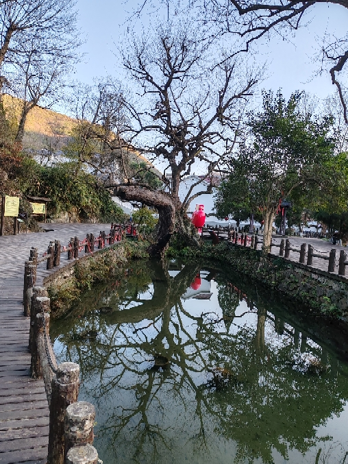 倍科&康巴赫联名KGS-C32BA 深氮深层防锈精铁锅家用平底炒锅 无涂层不易粘锅晒单图